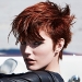 coupe-boule-rousse